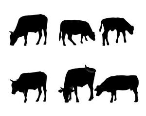Collection of black silhouettes cows