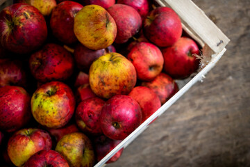 Cagette de pommes rouges