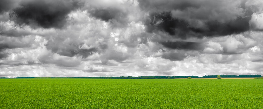 Field And Stormy Clouds. Photo Of Dark Sky And Fresh Green Grass