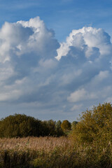 dramatic clouds over wetland landscape