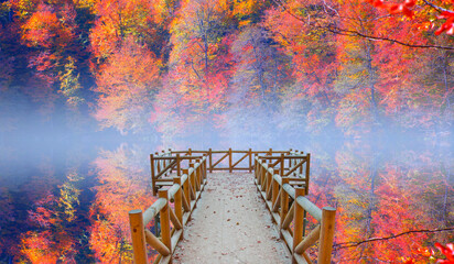 Autumn red forest landscape reflection on the water with wooden pier - Autumn landscape in (seven lakes) Yedigoller Park Bolu, Turkey
