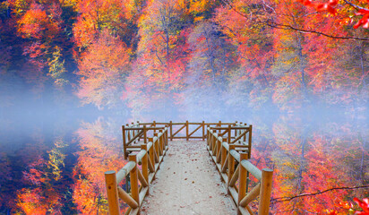 Autumn red forest landscape reflection on the water with wooden pier - Autumn landscape in (seven...