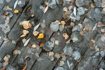 Natural background from frozen leaves on wooden boards top view closeup