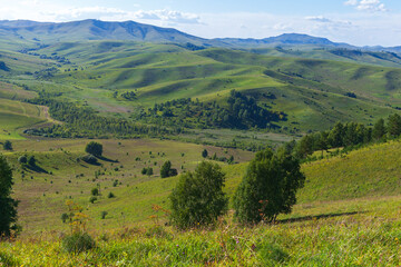 Summer landscape photo of Altai mountains, Russia