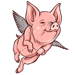 Flying pig vector valentines day illustration