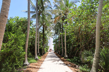 Obraz premium Cape Florida Lighthouse at Key Biscayne in Miami