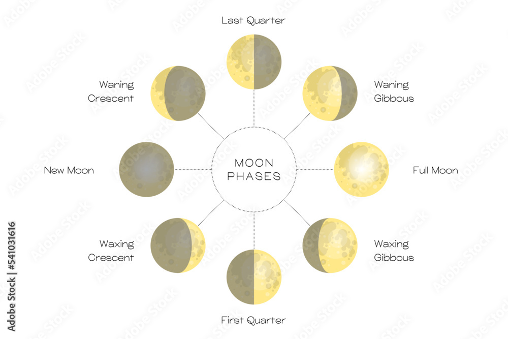 Wall mural moon phases scheme sphere shadow cycle astronomy icon set. vector illustration background