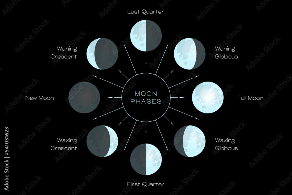 Sticker moon phases scheme sphere shadow cycle astronomy icon set. vector illustration background