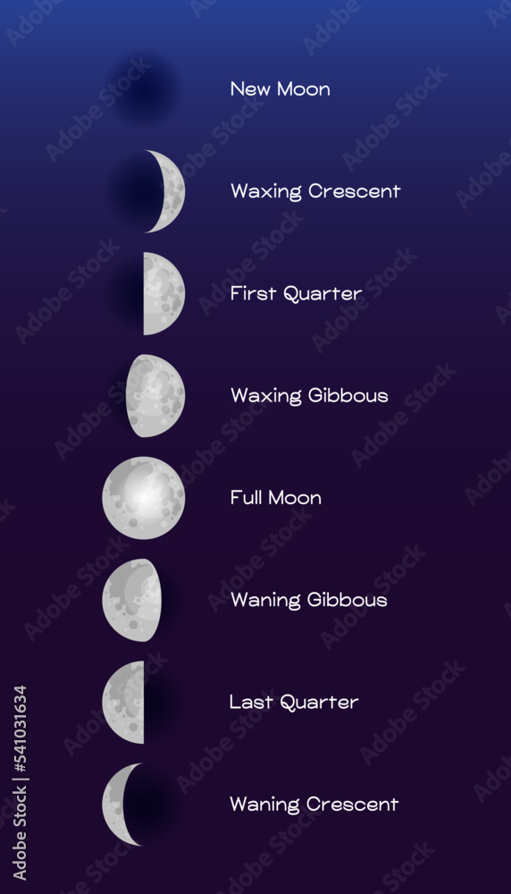Wall mural moon phases scheme sphere shadow cycle astronomy icon set. vector illustration background
