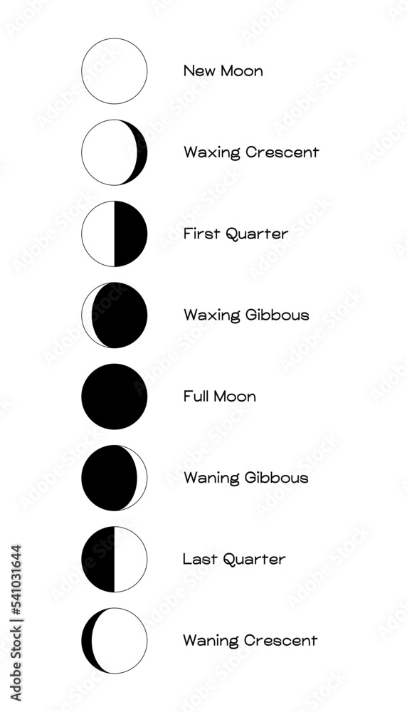 Wall mural moon phases scheme sphere shadow cycle astronomy icon set. vector illustration background