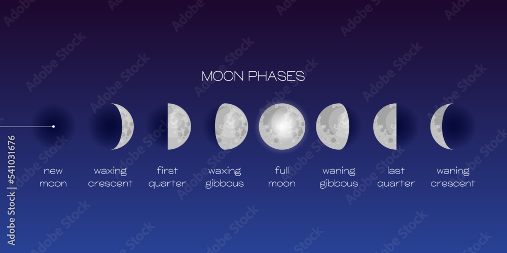 Sticker moon phases scheme sphere shadow cycle astronomy icon set. vector illustration background