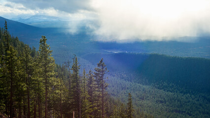 Mountain forest landscape with clouds on the sky in Oregon.