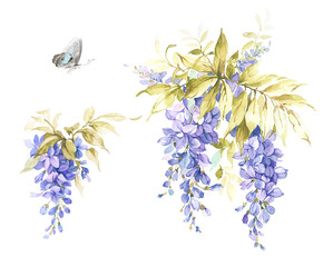 Set of purple wisteria flowers and leaves. Great for decor and spring decoration - obrazy, fototapety, plakaty