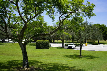 Weston Regional Park