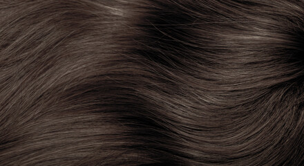Brown hair close-up as a background. Women's long brown hair. Beautifully styled wavy shiny curls....