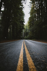 Roadway with yellow lines in the forest of California 