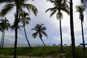 Ft. Lauderdale Beach