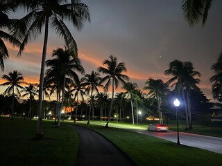 Fototapeta premium Florida Nature