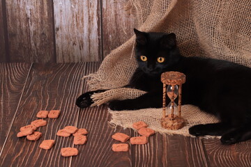 still life in Gothic Halloween style. Black cat, runes, hourglass with runic signs. The table of a witch, an alchemist, a magician.