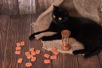 still life in Gothic Halloween style. Black cat, runes, hourglass with runic signs. The table of a...