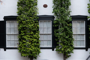 window with shutters -  Georgetown Washington DC