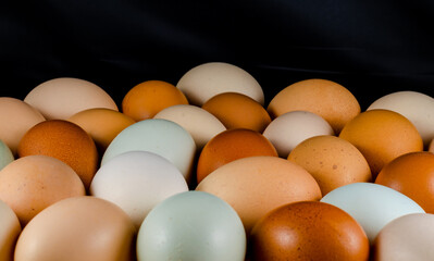 Chicken eggs of different colors on a black background.