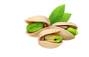 ピスタチオ イラスト リアル セット