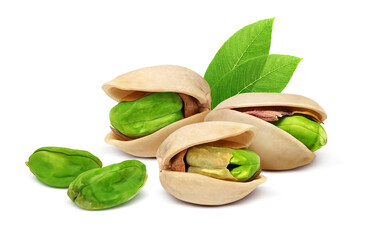 ピスタチオ イラスト リアル セット