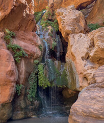 Waterfall hikes on the Colorado River