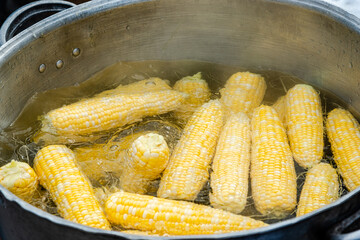 Closed-up cooked corn in the big pot