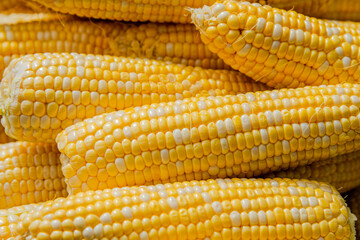 Closed-up cooked corn in the big pot