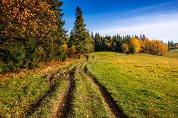 Jesień w Gorcach - szlak na Turbacz i Stare Wierchy