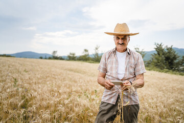 Naklejka na ściany i meble one man senior male farmer standing in the wheat golden yellow agricultural field checking grain quality in sunny day wear straw hat and mustaches real people copy space front view
