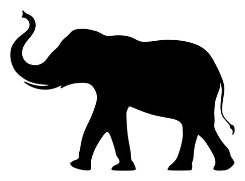 The silhouette of a large elephant. Indian Elephant. An African elephant. Wild Elephant