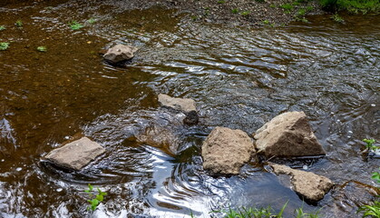 Stones close-up in the shallow water of the river in summer