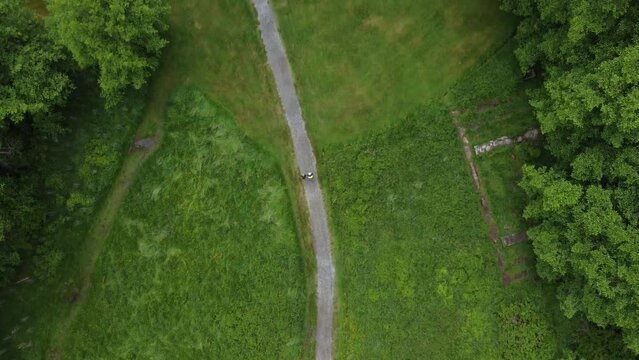 Aerial view of narrow road in a green landscape with trees in Bowen Island