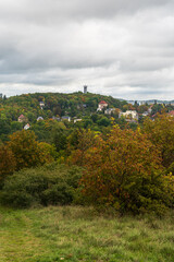 Barenstein hill with lookout tower in Plauen city in Germany