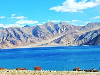 Naklejka premium Serene Pangong Lake, Ladhak, India