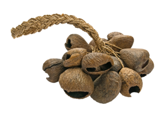 Still-life, Ethnic Musical Instrument on transparent  background