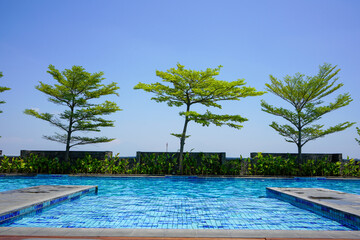 Swimming pool above the hotel with clear water with a view of shady green trees.