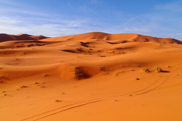 Fototapeta na wymiar Amazing view of beautiful Sand dunes of the Sahara desert with a sky in the background, Morocco