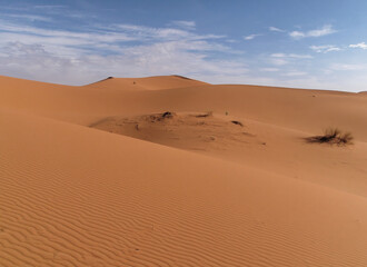 Fototapeta na wymiar Peaceful view of beautiful Sand dunes of the Sahara desert, Morocco