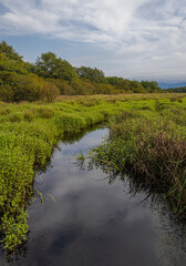 Kobuleti Managed Reserve, Kobuleti Protected Areas, National Park in Georgia.