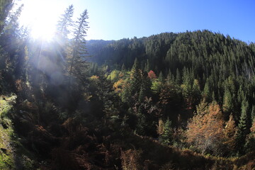 Autumn in Tatra Mountains, Dolina Białej Wody