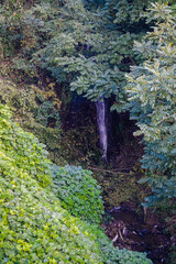 A waterfall in Tsikhisdziri, Georgia. Autumn time.