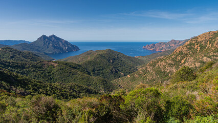 Fototapeta na wymiar View from famous D81 coastal road with view of Gulf de Girolata from Bocca di Palmarella, Corsica, France, Europe