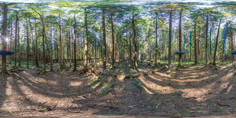 full spherical hdri 360 panorama in pinery forest in equirectangular projection. VR AR content