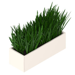 3d rendering illustration of grass in a pot