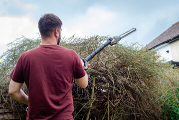 Gardener trimming overgrown hedge in back yard garden using long hedge trimmers.