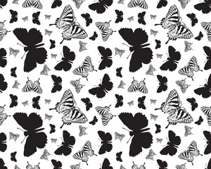 Seamless pattern with black silhouettes of butterflies on on a white background